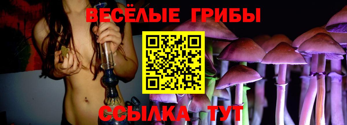Армавир  Галлюциногенные грибы Magic Shrooms  Вход с VPN 