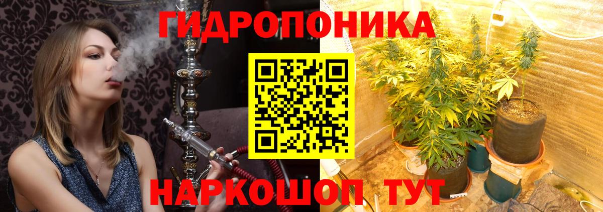 Марихуана сатива  Вход с VPN  Бошки марихуана OG Kush  Армавир  Марихуана ГИДРОПОН 